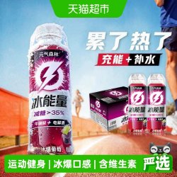 元气森林 Genki Forest 元气森林 冰能量功能饮料 冰爆葡萄口味 500ml*15瓶