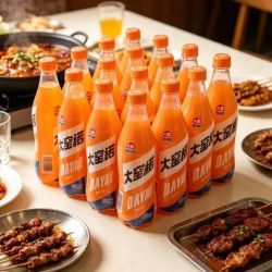 大窑 橙诺荔想汽水450m*12人