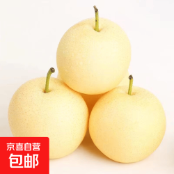 京东 正宗河北皇冠梨 产地直发 现摘现发 脆甜多汁梨子整箱新鲜水果 皇冠梨净重8.5斤