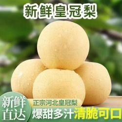 京东 远达（YUANDA）河北皇冠梨赵县特产新鲜水果冰糖雪梨当季水果梨子整箱白梨脆甜 皇冠梨净重4.5斤