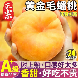 山姆伯伯 黄金毛蟠桃蟠桃山东蒙阴黄桃子新鲜水果礼盒 5斤净重4.5斤 7A级