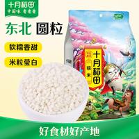 十月稻田 英雄传 糯米 1kg