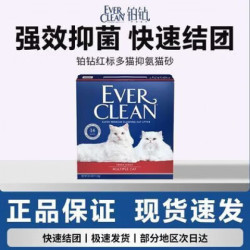 铂钻 EverClean）EVER CLEAN红标除臭猫砂结团紧实11.3kg箱装低尘土猫咪砂 红标长效低敏芳香11.3kg一箱