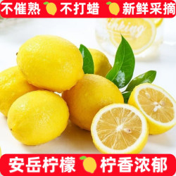 安岳黄柠檬水果当季新果精选整箱新鲜大果果园现摘泡水酸爽青甜斤