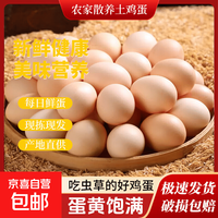 京东 山林正宗自养鲜鸡蛋鲜鸡蛋新鲜鸡蛋现捡生鲜买菜单枚40g-45g 山林自养土鸡蛋10枚