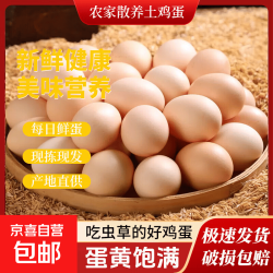 京东 山林正宗自养鲜鸡蛋鲜鸡蛋新鲜鸡蛋现捡生鲜买菜单枚40g-45g 山林自养土鸡蛋10枚