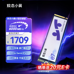 致态 长江存储原厂颗粒 SSD固态硬盘  2TB