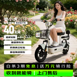 驰小虎 吉祥虎 48V12Ah铅酸电池 绿色 电动自行车