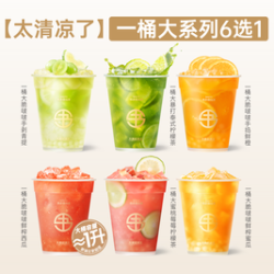 书亦烧仙草 一桶大系列6选1（约1L）