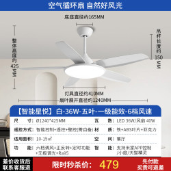 雷士 简约现代 风扇吊灯  无极调光 1个