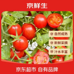 京鲜生 千禧圣女果3斤 寿光小番茄小西红柿 新鲜水果蔬菜源头直发 千禧圣女果 1.5kg 装