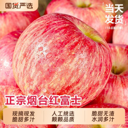 福瑞达 山东烟台红富士苹果 9斤