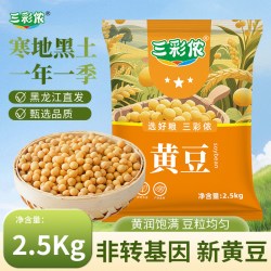 无品牌 东北黄豆 5000g 2斤装黄豆（颗粒饱满）