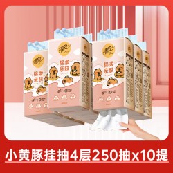 清风 BG25SMEC0610145444 悬挂式挂抽纸巾 10提整箱 4层 250抽