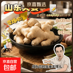 京东 山东新鲜精品大姜超市生鲜蔬菜老姜即食水果生姜水洗姜净姜调味姜 山东大姜净重1斤