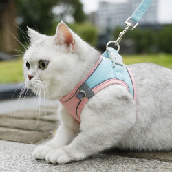 宠物胸背带小型犬透气反光