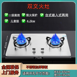 添禧好太太 JZT-T 双灶猛火燃气灶