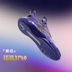 安踏 狂潮5PRO 男款篮球鞋
