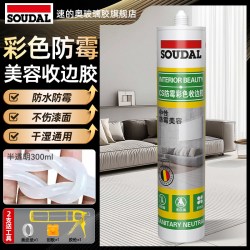 速的奥 CS中性防霉防水玻璃胶 300ml