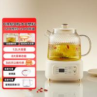 西屋 小型全玻璃养生壶家用多功能水壶烧水泡茶恒温办公室煮茶器X12