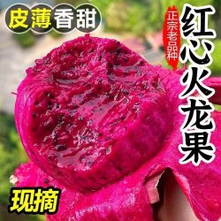 果小恩 海南金都一号红心火龙果新鲜5斤整箱大果当季应季新鲜水果包邮