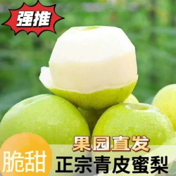 无品牌 安徽 砀山梨 精选大果250g+ 4.5斤