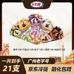 五羊牌 冰淇淋雪糕香芋巧克力哈密瓜多种口味纯甜筒组合冷饮京东冷链包邮 5种甜筒进阶装（1533g）