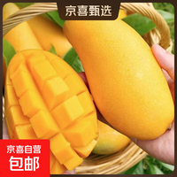 正宗海南金煌芒整箱新鲜当季水果水仙芒大芒果个大肉厚现摘直发 带箱2斤装