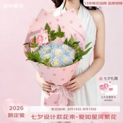 京东鲜花 情人节礼混合花礼品花束七夕礼品大花束-11枝碎冰蓝玫瑰源头直发