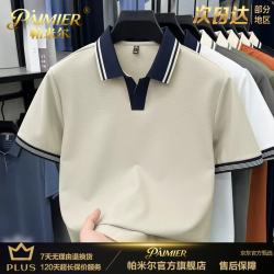 帕米尔轻奢高端男装男士冰丝t恤短袖polo衫夏季翻领2026年新款休闲时尚