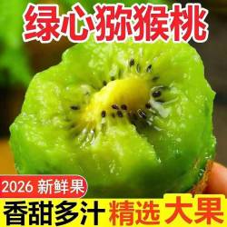 湖南猕猴桃绿心酸甜多汁单果80g起