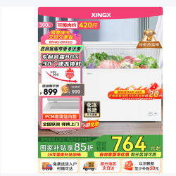 星星 减霜净味 冰柜  300L