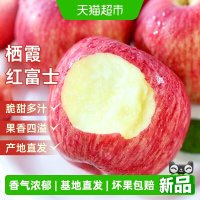 淘金币可用、今日必买、88VIP:于甄鲜 正宗山东烟台红富士苹果 4.5斤中果9-12个
