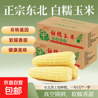 京喜 今年头茬东北白糯玉米甜糯粘玉米真空装非转基因黏苞米粗粮代餐 白糯玉米3支200-240克