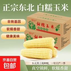 京喜 今年头茬东北白糯玉米甜糯粘玉米真空装非转基因黏苞米粗粮代餐 白糯玉米3支200-240克