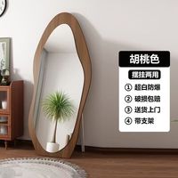 艾格辰 网红卧室落地镜家用全身镜