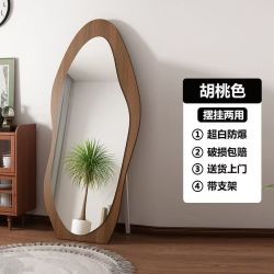 艾格辰 网红卧室落地镜家用全身镜