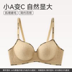 芬腾 内衣 舒适聚拢防下垂收副乳透气无痕无钢圈大胸小胸一体式女士文胸罩