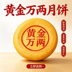 晶巧 黄金万两大月饼 400g