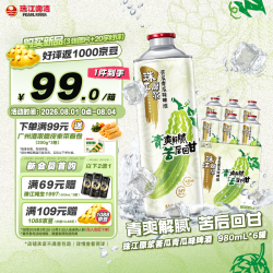 珠江啤酒 10.8度 珠江原浆苦瓜青瓜味啤酒 980mL*6罐 整箱装 京东自营