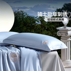 富安娜 60S长绒棉贡缎刺绣枕套 74*48cm 蓝
