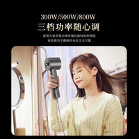 彦高 电吹风机家用宿舍用学生800w负离子护发高速小功率500w送礼生日礼物女 旗舰版-曜石灰（800W）