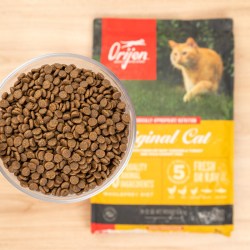 OIMG 渴望爱肯拿百利美士素力高纽翠斯罗斯法米娜猫粮试吃装40500g 渴望鸡肉 40g 非正装，铝箔袋分装试吃
