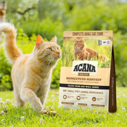 ACANA 爱肯拿 愛肯拿（ACANA）猫粮爱肯拿牧场盛宴鸡肉猫粮无谷成幼猫主粮原装进口宠物营养食品 丰收家园7.2kg-27年5月