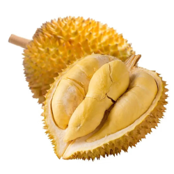 晨臻 软糯香甜 榴莲  带箱4-5斤精品果(净重3-4斤) 1.5kg