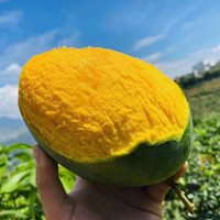 四川攀枝花 大果 凯特芒果 净重4.25斤 单果300-450g