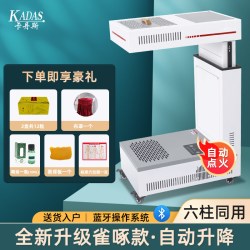卡丹斯 扶阳透灸仪美容院艾灸仪器一体机无烟新款雀啄明火家用机器