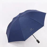 印象城 全自动雨伞8骨全自动 买一送一（2把）