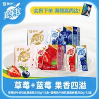 真果粒 牛奶饮品礼盒装 草莓味250g×12盒+蓝莓味250g×12盒