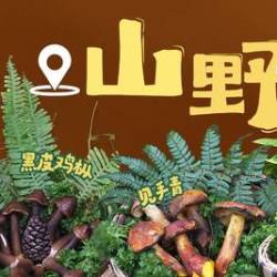 火锅2人餐｜云南野生菌火锅（限时售卖）